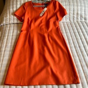 Long Tall Sally Orange Zip Back Shift Dress